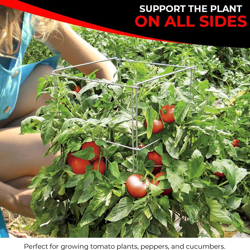 tomato cage
