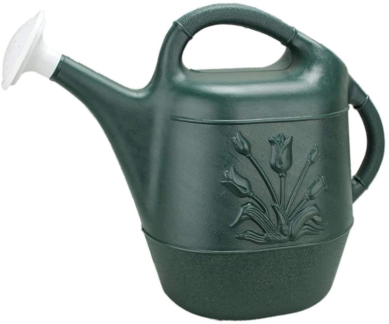 watering can 10