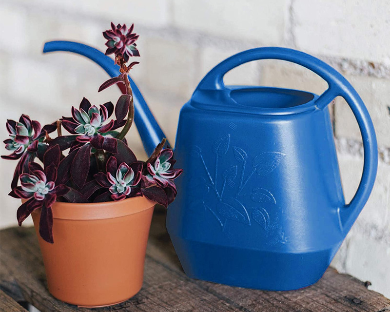 watering can 3