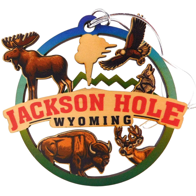 jackson hole decor
